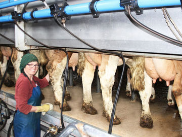 Milchbauernhof im Chiemgau